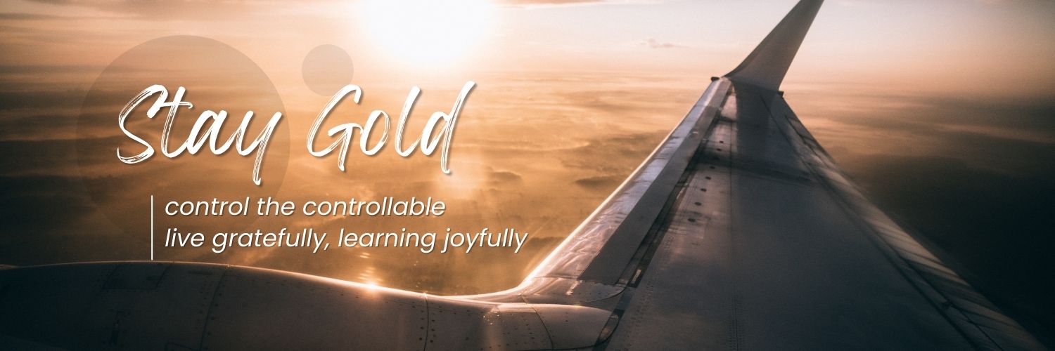 frondyff's profile banner image
