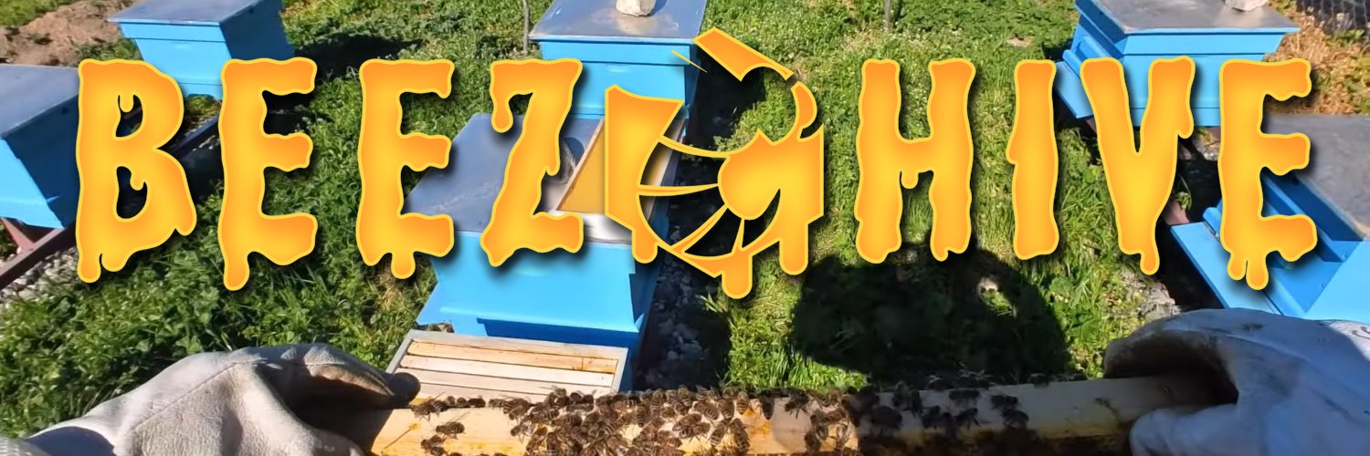 BeezHive 🐝🍯's banner