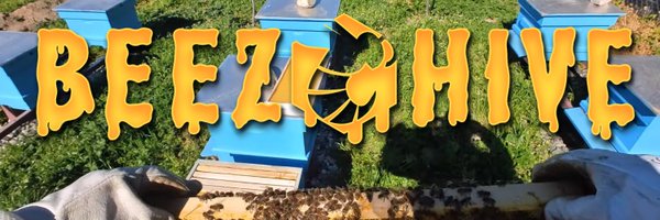 BeezHiveNFT Profile Banner