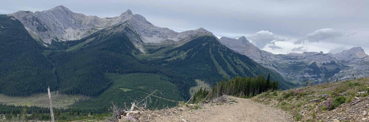 Krista M S Norlin banner