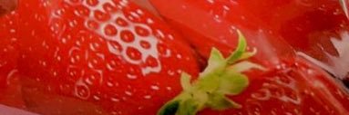 maro banner