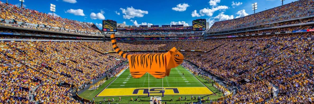 Paper Tiger Tailgate banner
