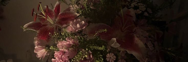 ginᶻ𝘇𐰁 banner