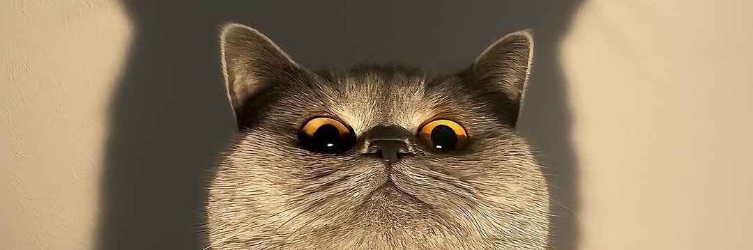 MSaeiao's profile banner image