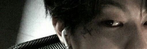 Leo' banner