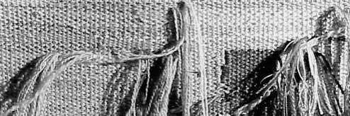 frayed banner