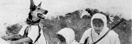 KarkaKyykkä banner