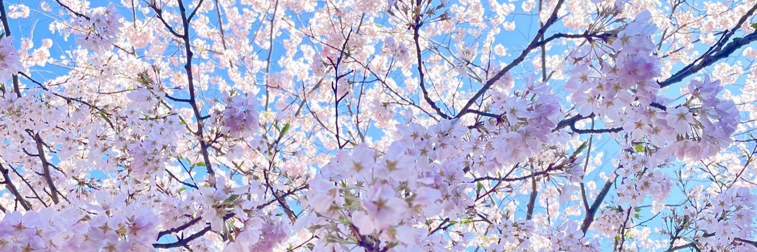 arata27410's profile banner image