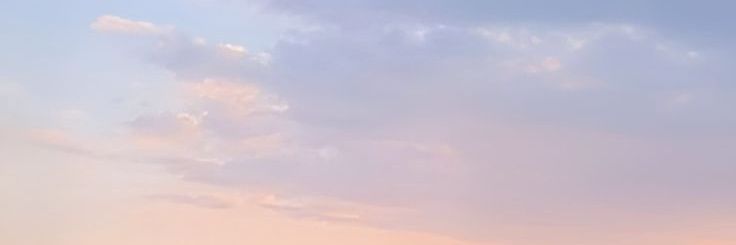 wkntrpppp's profile banner image