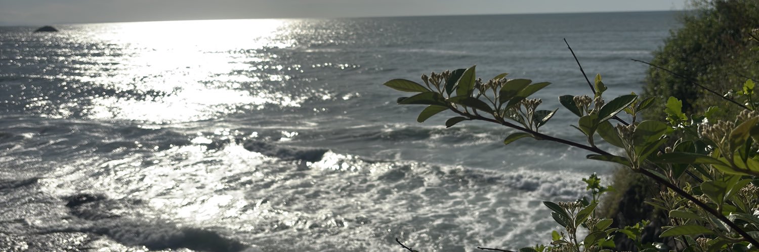 Tugbayla's profile banner image