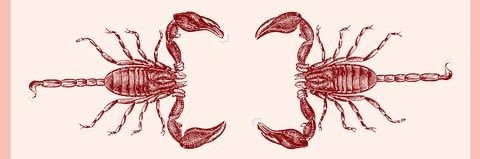 ♏ayciann banner