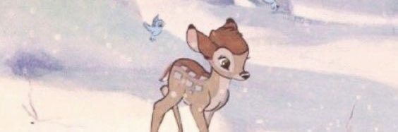 lilonalani's profile banner image