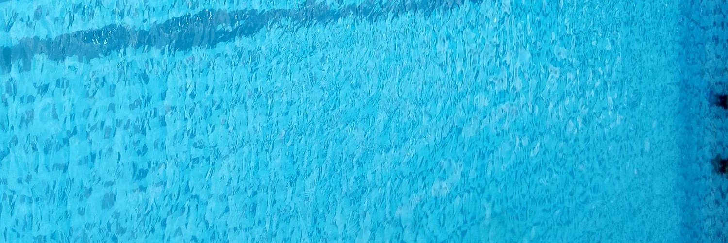dewiyustina's profile banner image