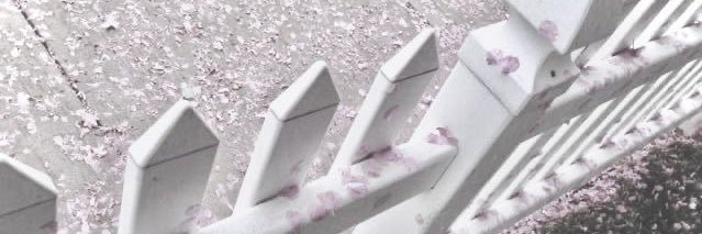 ✩ banner