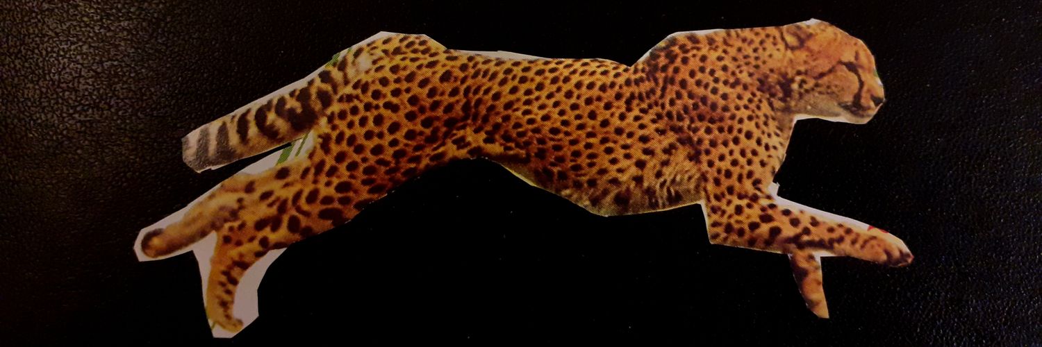 weronitchka's profile banner image