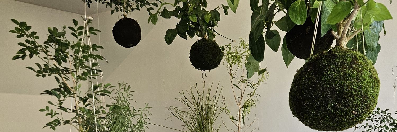 SnSchlstk's profile banner image