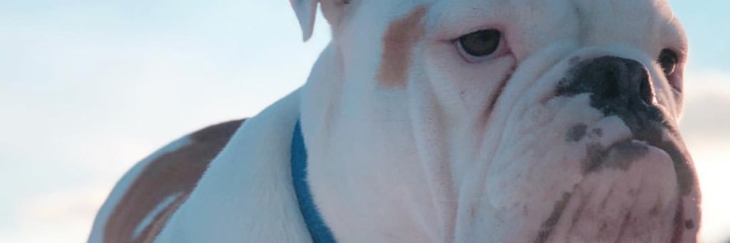 grahamherston's profile banner image