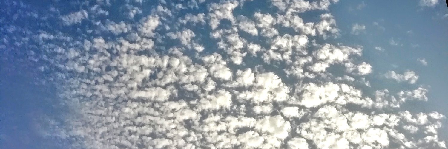 snowrm96's profile banner image