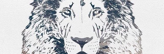 Pat Hood banner