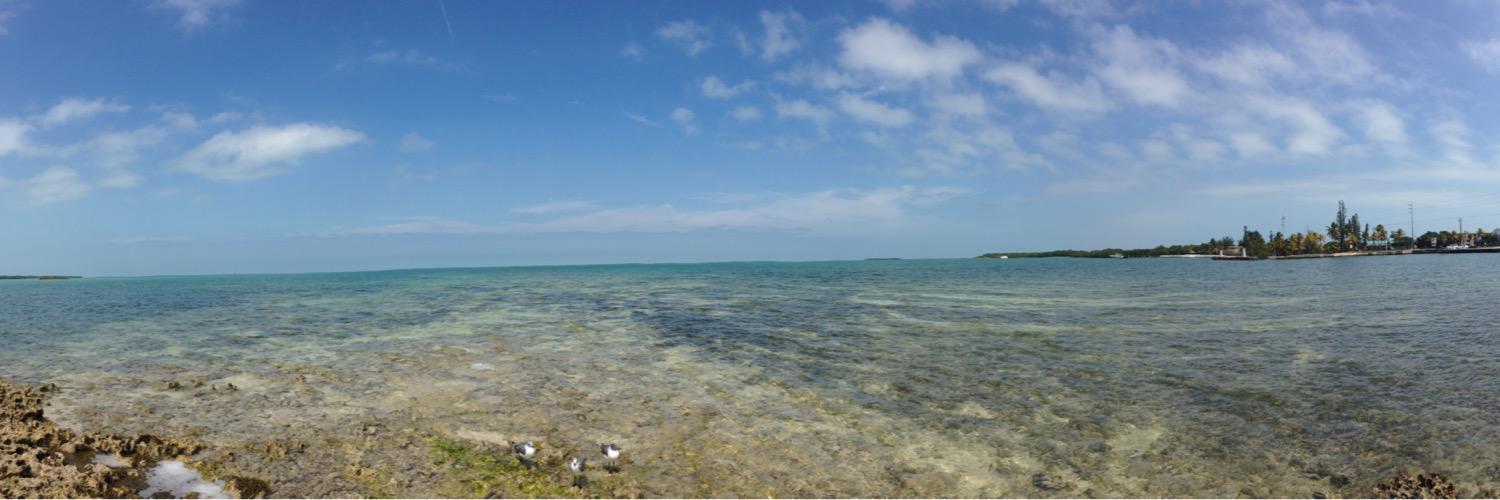 Tiffany H., M.Ed, MBA banner