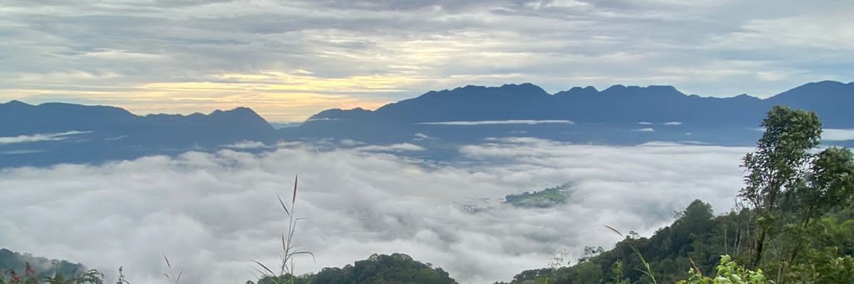 cyrlis1oo's profile banner image