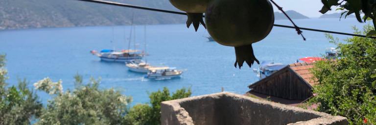 Fonti banner