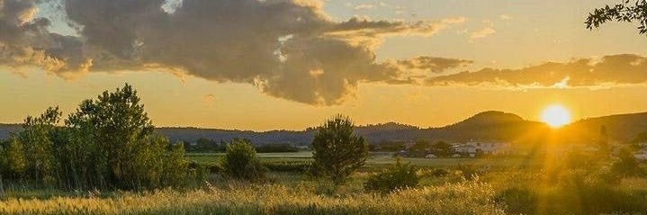 catalinahak1's profile banner image
