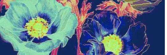 __heina's profile banner image