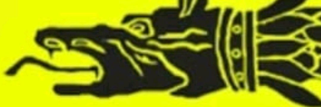 CeausuMarius's profile banner image