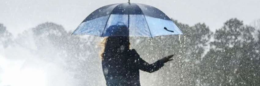 Laura Treleven banner