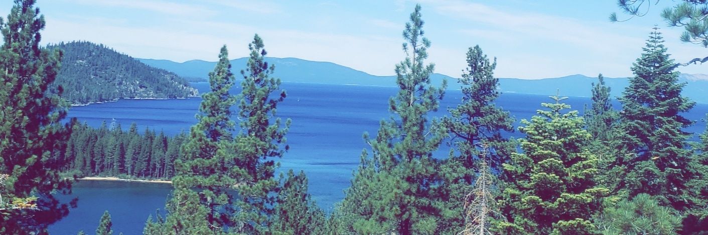 plswails's profile banner image