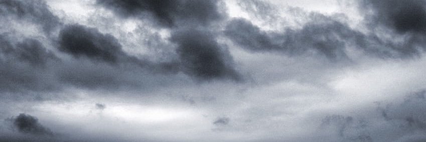 JL Miaou banner