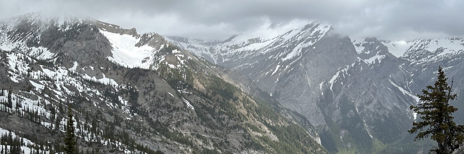 Nathan Lehman banner