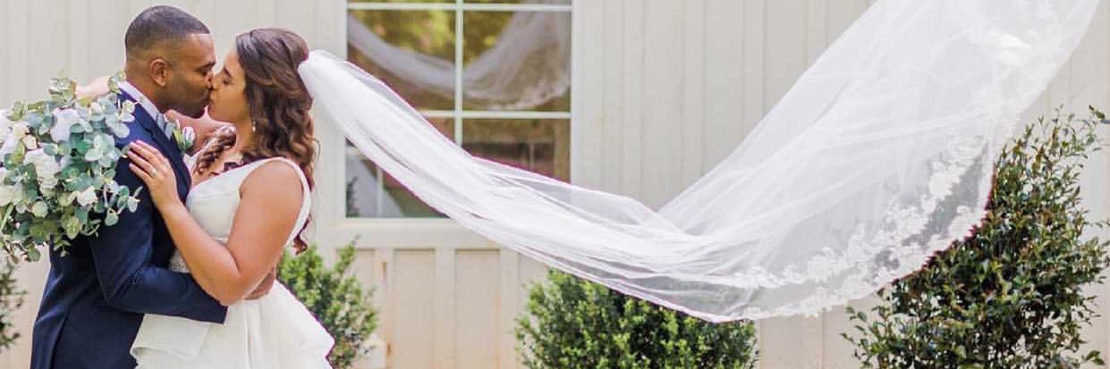 T ᗩ ᖇ ᖇ Y ᑎ 🌹 banner