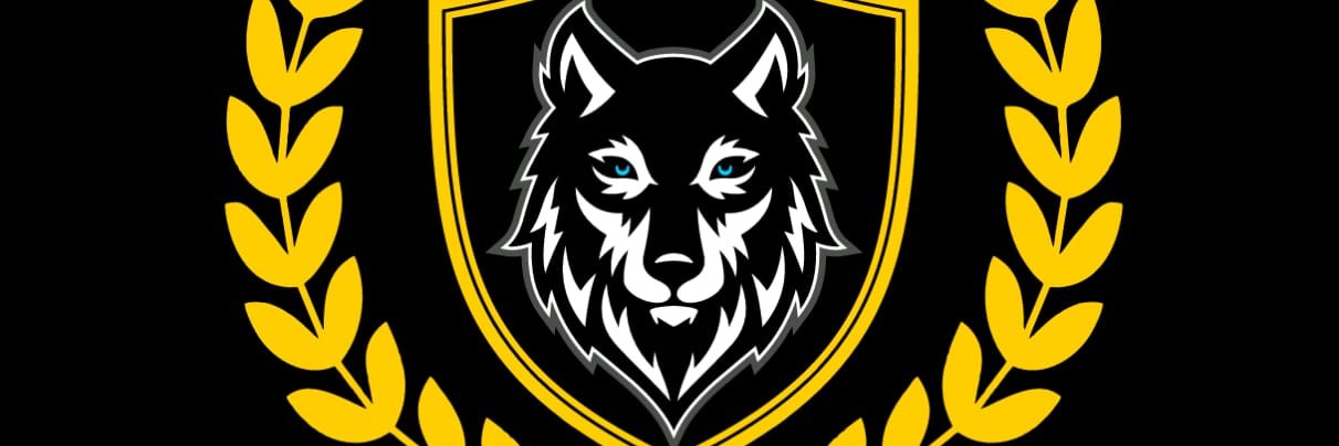 fabiodelethesi's profile banner image