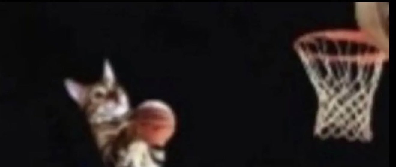 jakobbbb_'s profile banner image