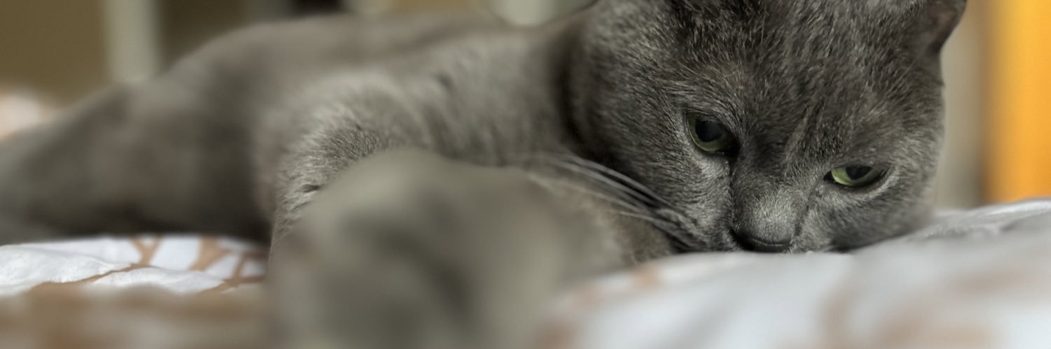 madison_mull's profile banner image