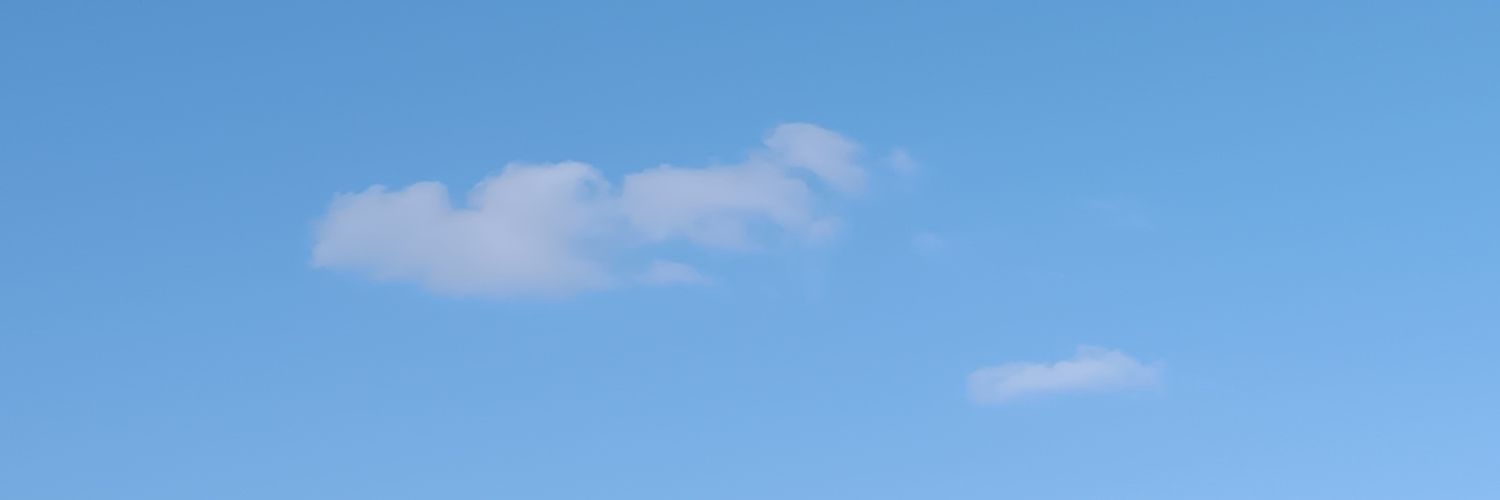 Criser banner