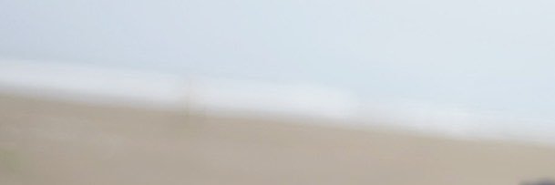li banner