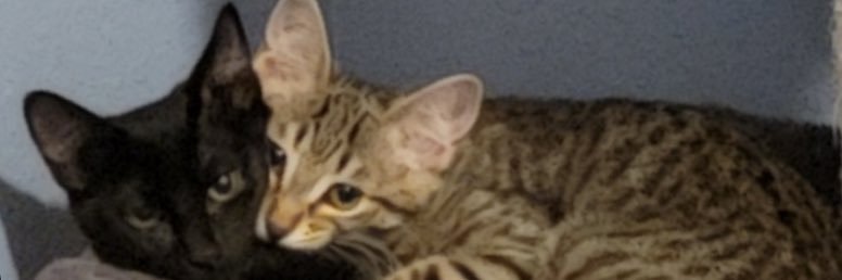_abri13_'s profile banner image