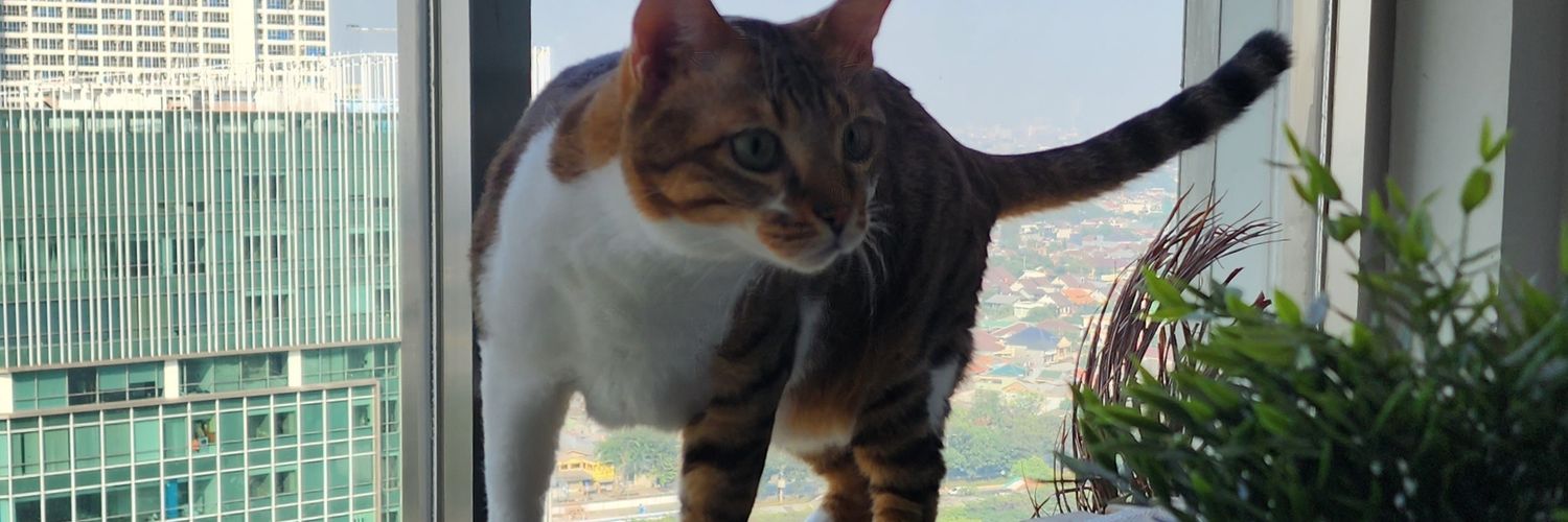 ルトフィ Iuhtpi banner