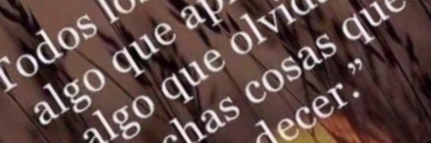 Beatriz Martínez Rico banner