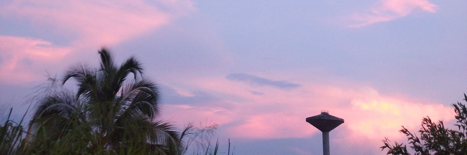 minuzzca's profile banner image