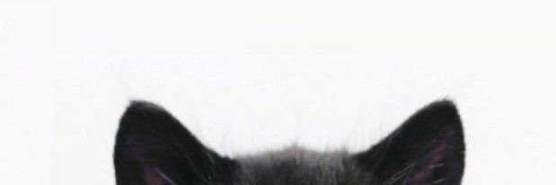 kcvnthy's profile banner image