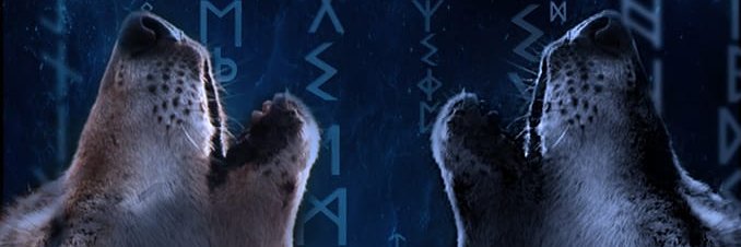 Merideth4986's profile banner image