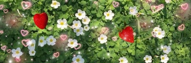 din. ✮˚.⋆ banner