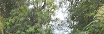 kuning_ceplok's profile banner image