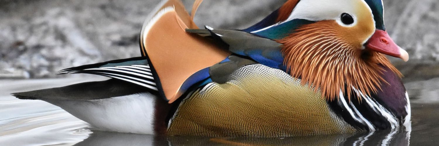 Stormy banner