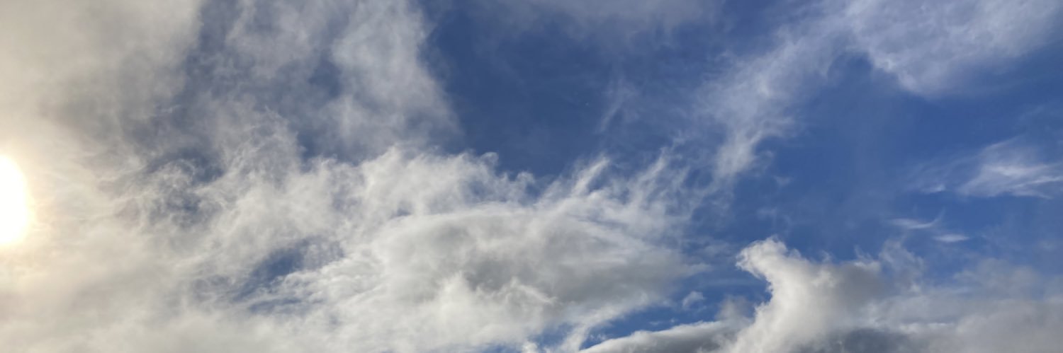 Tertertertan's profile banner image