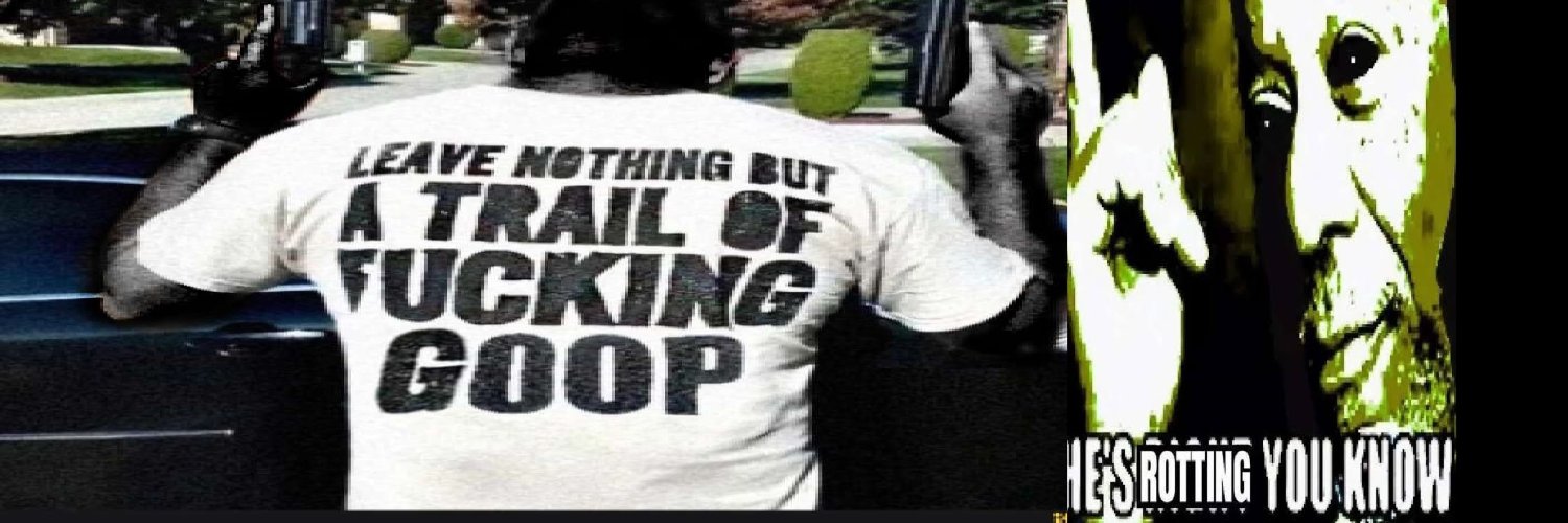 vradicalad.bsky.social banner